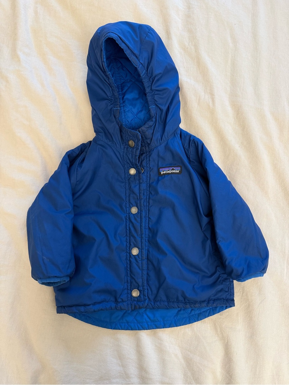 Patagonia Kids Hooded Puffer Jacket - Royal Blue